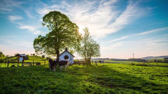 牧场与奶牛田园诗般的乡村景观在德国-起重机射击