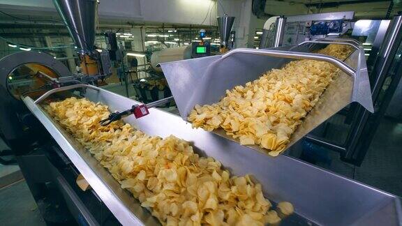 工厂的设备在一条线上移动炸薯片对它们进行分类