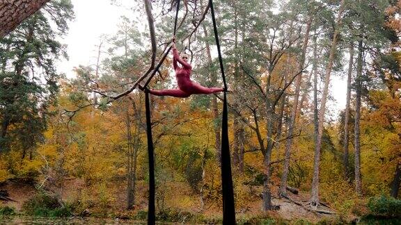 女杂技演员挂在空中的丝绸上在森林里表演空中杂技