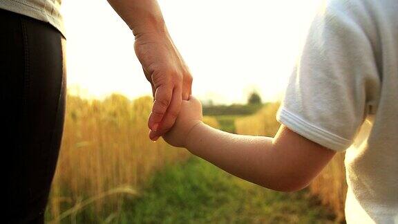 高清慢镜头:小男孩和妈妈手牵着手走在金色的麦田里