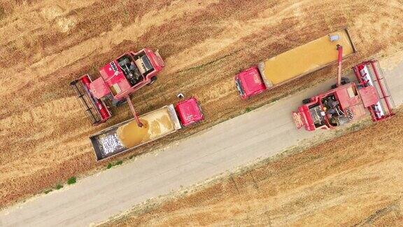 联合收割机将收获的小麦倒入卡车的鸟瞰图