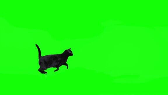 黑猫跳向绿色的屏风