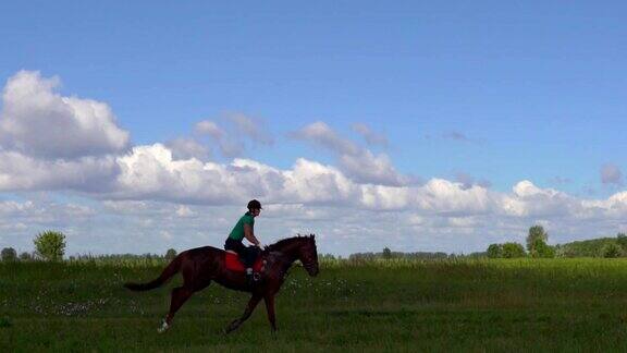 年轻女子骑着马在田野上奔驰