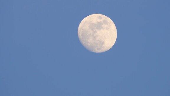 白天可以看到月亮