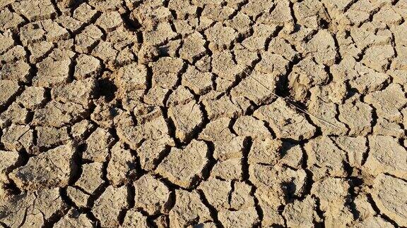 气候变化、干旱灾害导致土地干裂