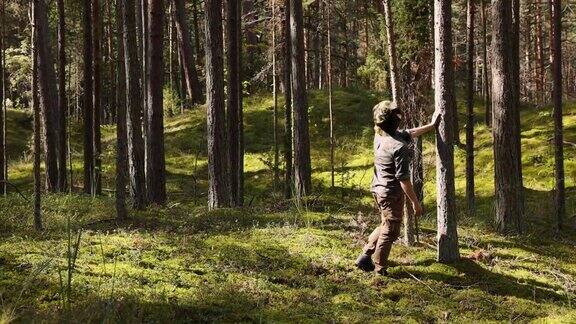 公园护林员或林务员进行森林调查或检查