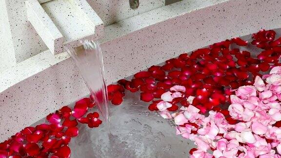 红色和粉红色的玫瑰花瓣在浴缸和自来水中
