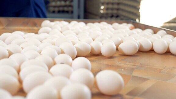 在鸡蛋分拣厂包装新鲜鸡蛋的工人