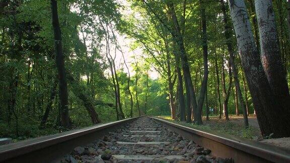 森林中的郊区铁路