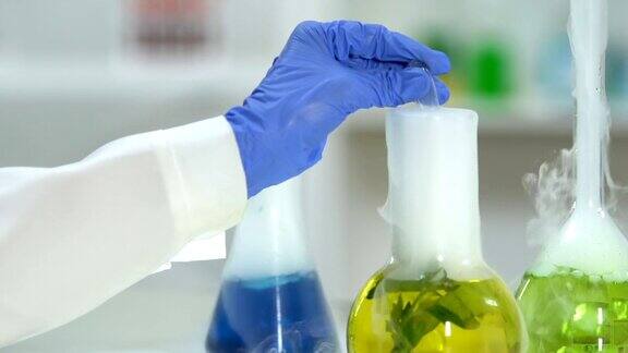 生物化学家提取煮沸植物提取物样本美容实验室