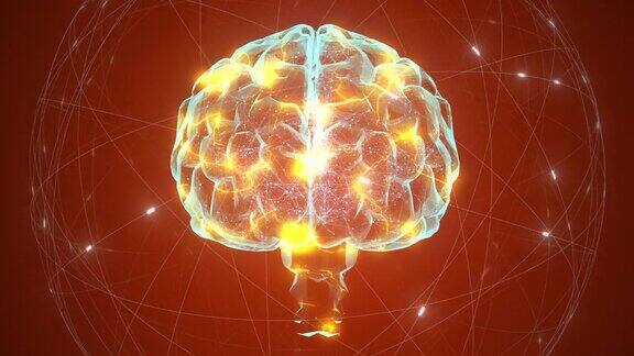带神经元和受体的大脑模型