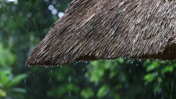热带夏雨滴落在花园的稻草屋顶上印尼巴厘岛