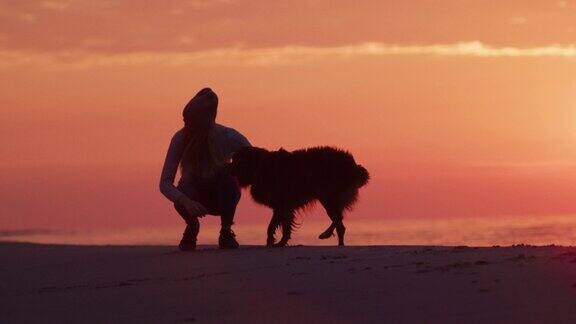 女孩在日落时抚摸狗