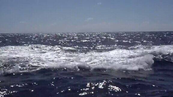 座头鲸浮出水面在海洋中旋转