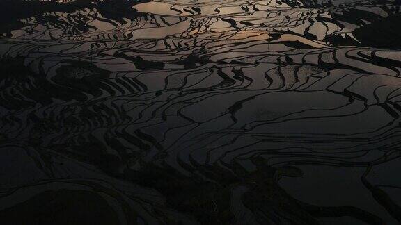 稻田的日出