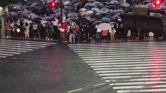 夜景延时Arial视图涉谷在东京在雨天