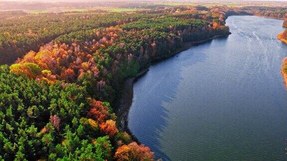 令人惊叹的秋天森林和大湖波兰