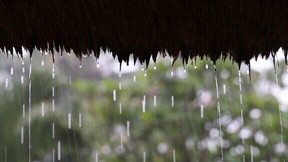 热带夏雨滴落在花园的稻草屋顶上印尼巴厘岛