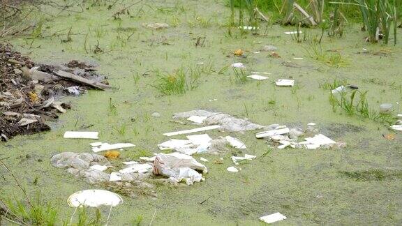 垃圾散落在水沼泽上