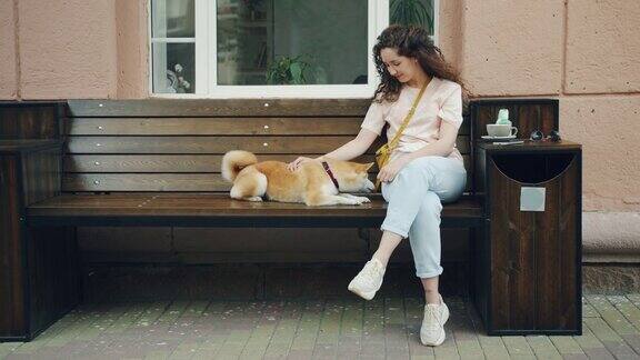 狗主人坐在街边咖啡馆的长椅上抚摸着日本柴犬