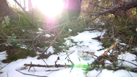 阳光明媚的日子里年轻的徒步旅行者在松林里爬山初春时分陌生的男性游客走在美丽的山间松林上旅行后视图近景慢动作