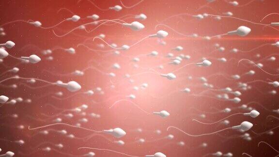 移动的卵细胞被精子受精