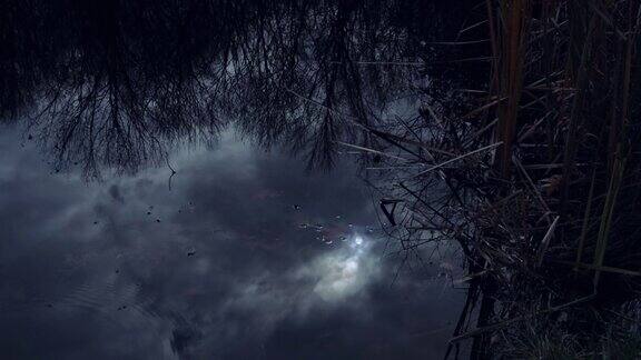湖面上月亮的倒影