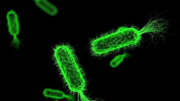 大肠杆菌绿色医学背景