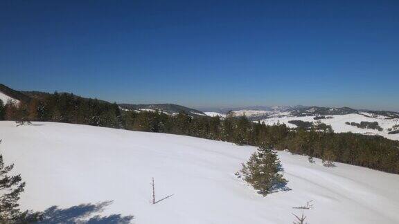 冬天美丽的兹拉蒂博山景观的高角视图阳光明媚的日子里积雪覆盖的小山和松树