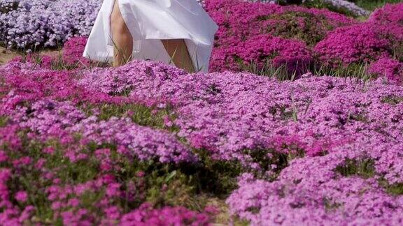 穿着白色长裙的女人走在粉红色的花丛中