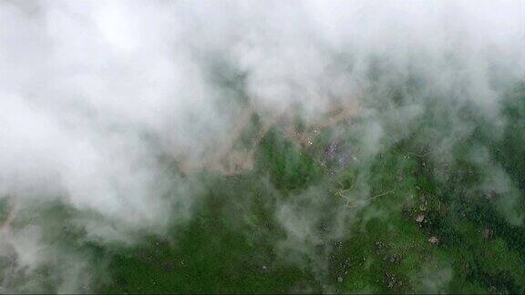鸟瞰图的森林覆盖着云雾