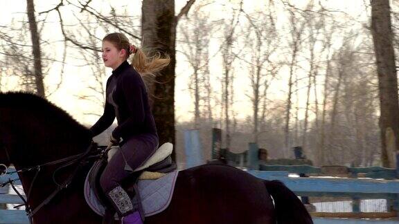 慢镜头:一位女骑师正骑在马上它表演各种运动动作和跳跃训练在一个特殊的小围场进行