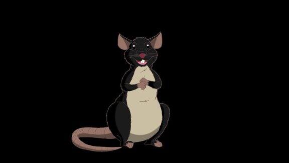 黑老鼠坐着笑动画AlphaMatte