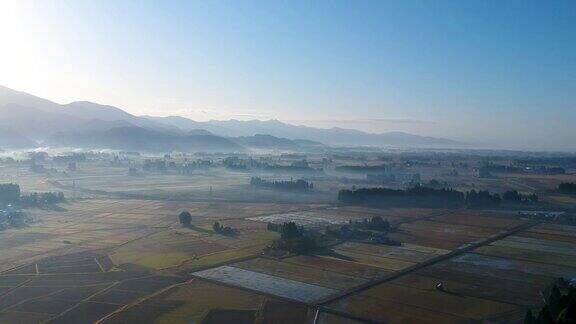 鸟瞰图美丽的沼泽早晨秋田日本秋天的乡村景色