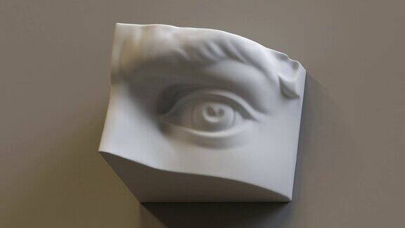 3d大卫雕塑眼细节古典绘画解剖对象