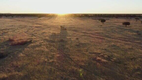 4K空中飞行的视角狩猎汽车在日落通过非洲大草原纳米比亚