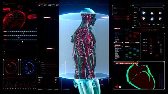 扫描男性身体血管数字显示仪表盘