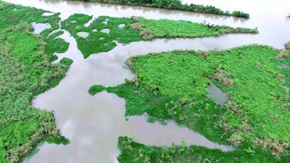 俯瞰沼泽、湿地、老河和失落的湖泊三角洲地区
