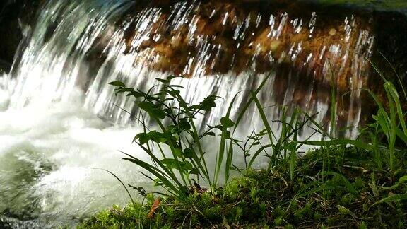 保加利亚索非亚附近的维托沙自然公园金桥地区水流的风景