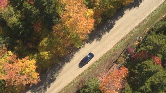 空中敞篷SUV汽车行驶在空旷的土路上穿过五彩缤纷的秋林