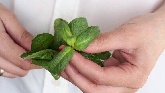 年轻女子拿着新鲜薄荷枝