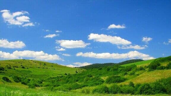 绿色的田野和蓝色的天空在高清