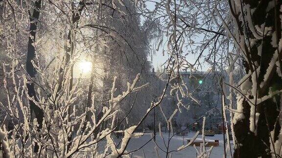 美丽的冬天早晨在这个城市