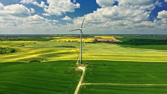 令人目眩的波兰农业黄色油菜田和风力发电机