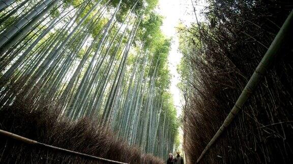 4k时光流逝:人们在日本京都岚山的竹林中行走倾斜拍摄