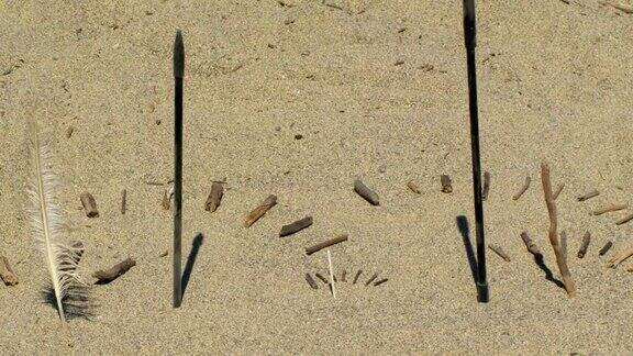 夏日沙滩上的一些日晷