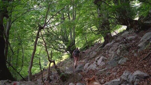 一名徒步旅行者带着登山杖和他的狗上山