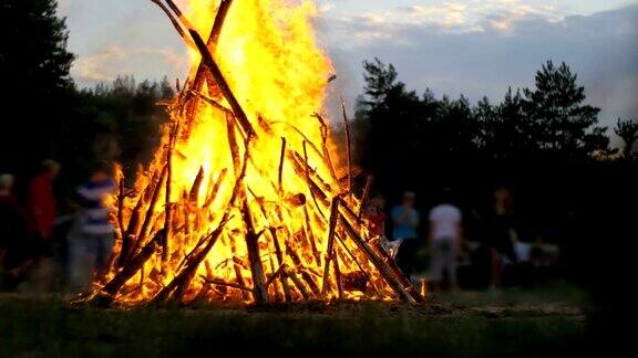 篝火的树枝在夜晚燃烧在森林中的人的背景