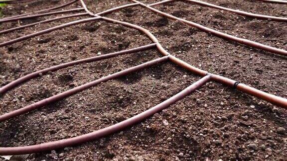 橡胶管滴灌花园土壤系统