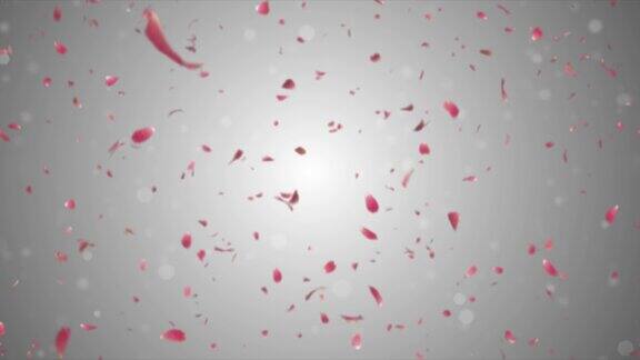 情人节心爱玫瑰花瓣粒子背景